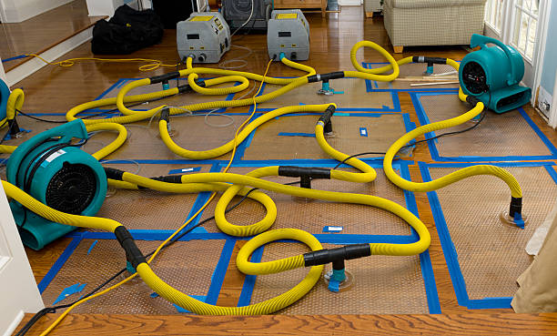 Professional Emergency Water Removal technician working in Wheeler, MI